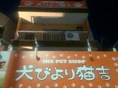 池ペットショップ犬びより猫吉