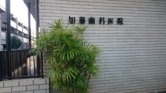 加藤歯科医院