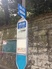 「世田谷観音」バス停留所