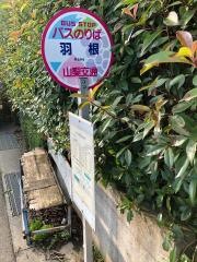 「羽根」バス停留所