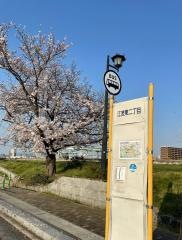 「江波東二丁目」バス停留所
