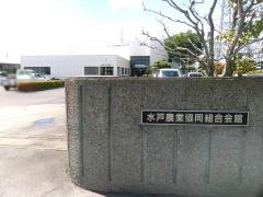 ＪＡ水戸本店