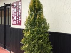 ＳＵＭＩＹＡＫＩこけこっこ