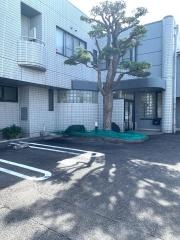 松井医院