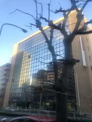 川辺株式会社