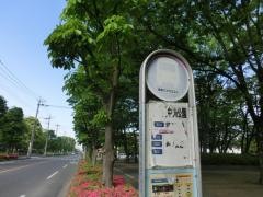 「富士見中央公園前」バス停留所