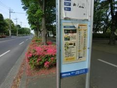 「富士見中央公園前」バス停留所