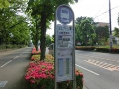 「富士見中央公園前」バス停留所