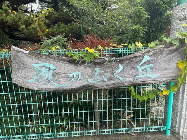 風のふく丘