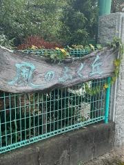 風のふく丘