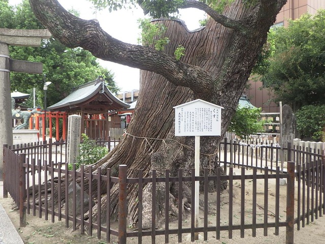投稿写真4