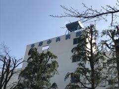 多摩中央病院