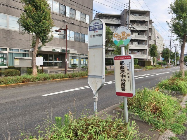 投稿写真7