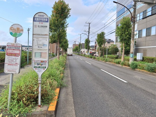 投稿写真3