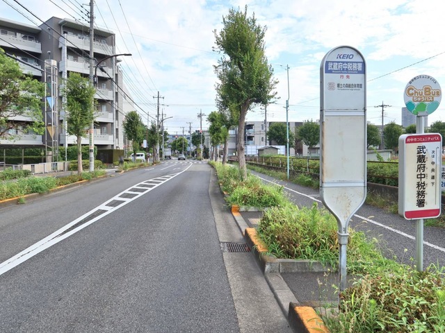 投稿写真2