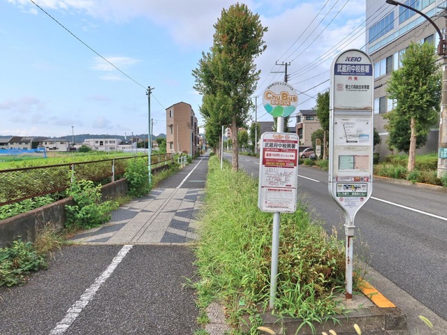 投稿写真1