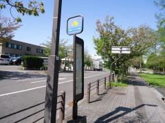 「りんくう往来南」バス停留所