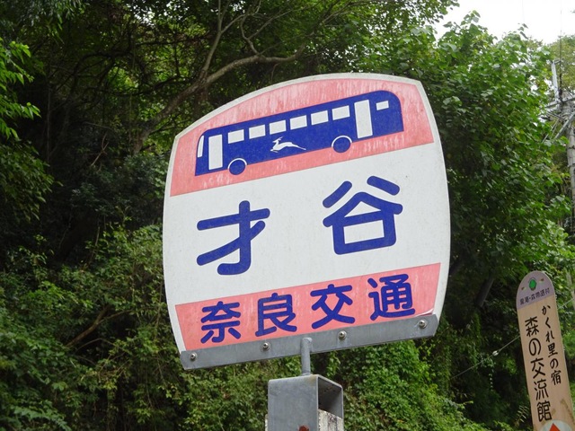 投稿写真7