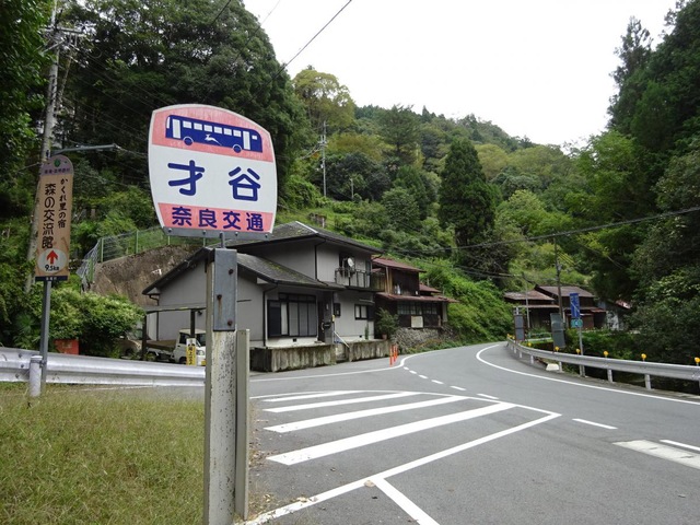 投稿写真3