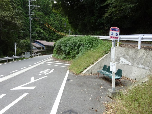 投稿写真1