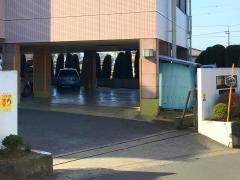 南花園