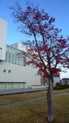 名取市文化会館
