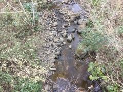 貝ケ森1号緑地