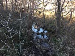 貝ケ森1号緑地
