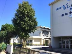 金田小学校