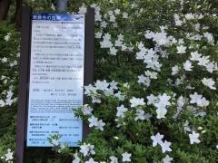 岩倉寺