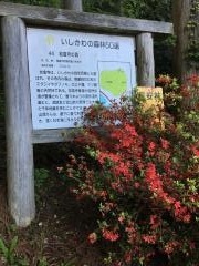 岩倉寺