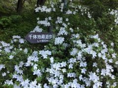 岩倉寺