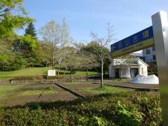 白橿近隣公園