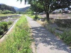 新建緑道