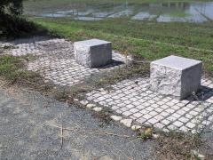 新建緑道