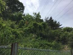 川平四丁目西緑地