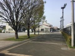 馬入ふれあい公園サッカー場