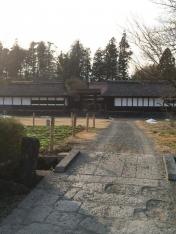 狩宿の下馬桜