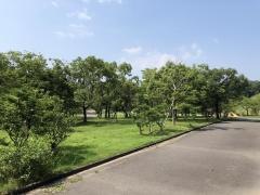 南部丘陵公園（北ゾーン）