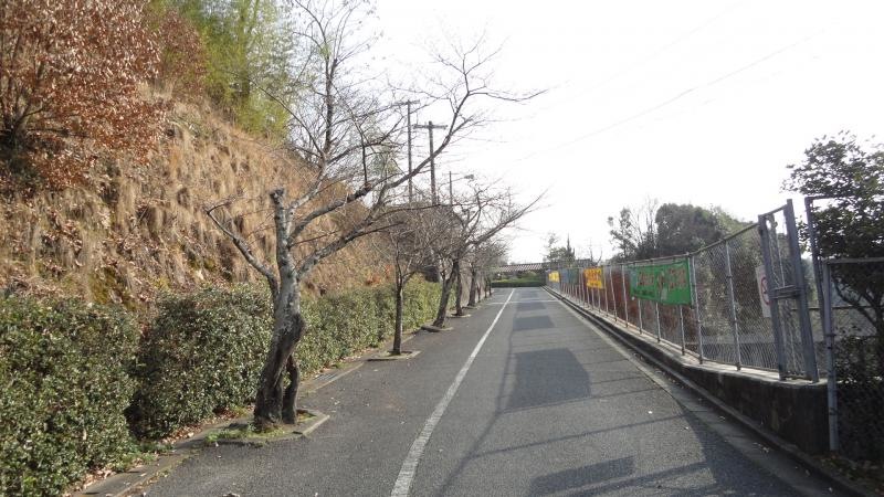通路