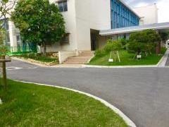 昭和薬科大学附属高等学校