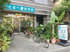 わたなべ整形外科