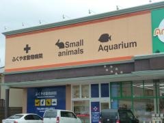 ふくやま動物病院