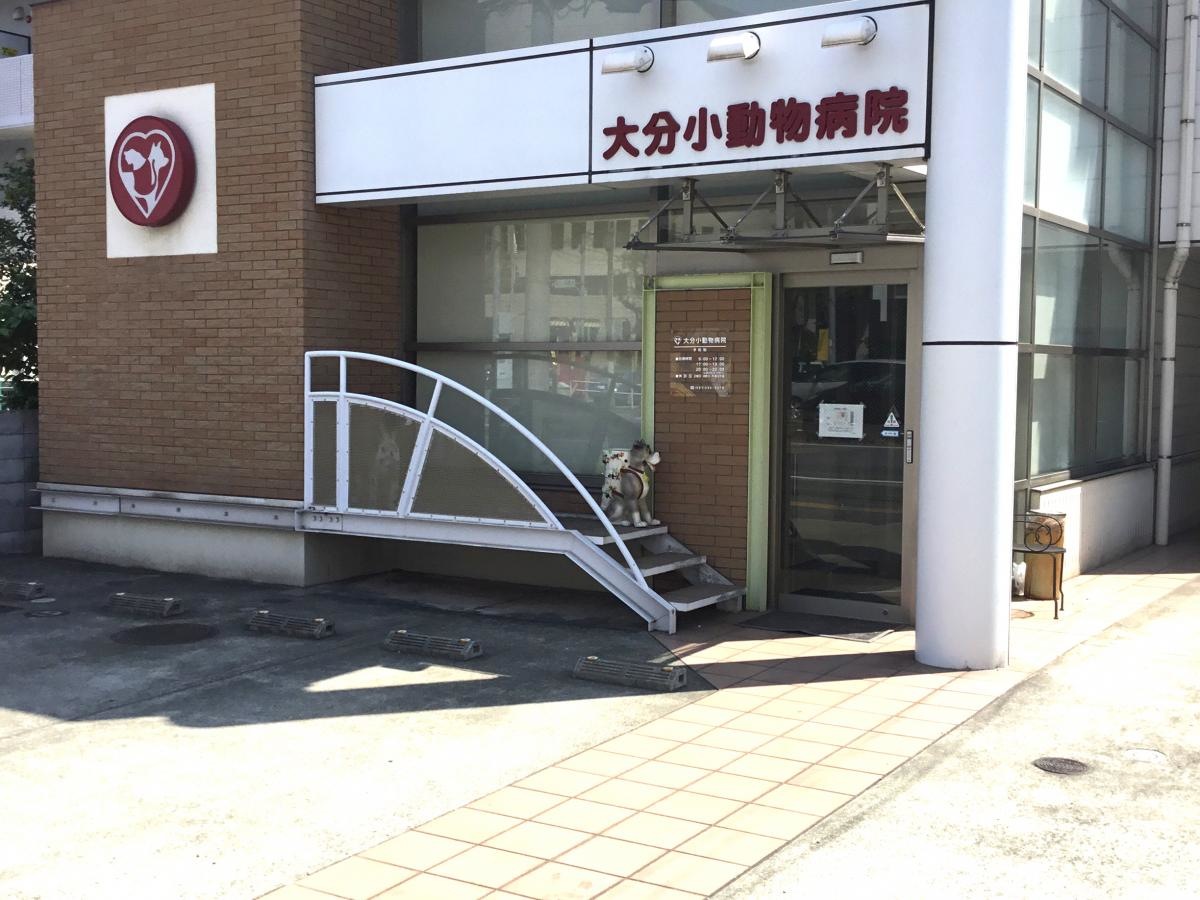 大分小動物病院④