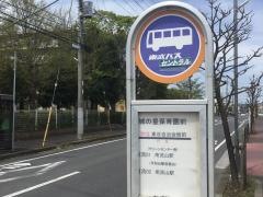 「城の星保育園前」バス停留所