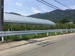 小林ぶどう園
