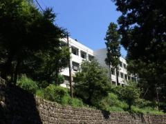身延山大学