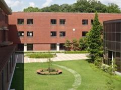 同志社国際高等学校