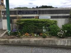 波岡の家