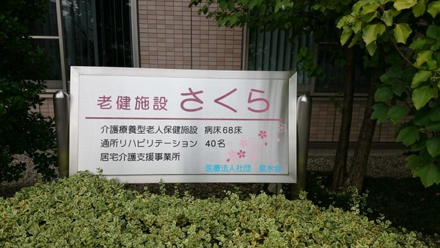 さくら